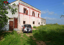 Ferme 1 Ha bien équipé sure la route