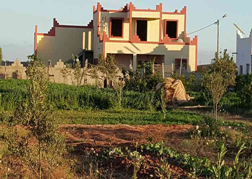 Ferme titrée Avendre11420M à Ouled Teima