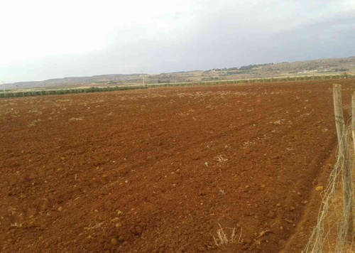 أرض فلاحية للبيع