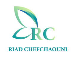 RIAD CHEFCHAOUNI