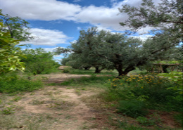 Ferme for vendre in Route de Fès - Marrakech