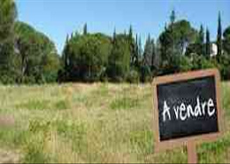 TERRAIN A VENDRE ECONOMIQUE