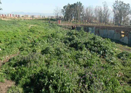 Terrain for vendre in Oued Fès - Fes