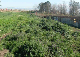Vendre Terrain à Fès (route Meknès)