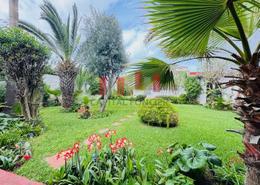Villa Commerciale - 4 bathrooms for vendre in Ain Diab - Casablanca
