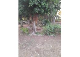 Terrain for vendre in Ferme Bretone - Casablanca