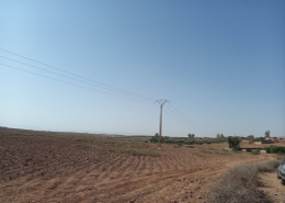 Terrain for vendre in Route d'Ourika - Marrakech