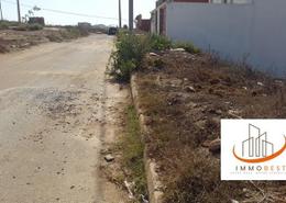 أرض for vendre in دار بوعزة - الدار البيضاء أرض for vendre in دار بوعزة - الدار البيضاء