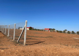 Terrrain à vendre de 1 hectares 500 à Benslimane