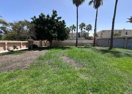 أرض for vendre in لونغ تشامبس - الدار البيضاء أرض for vendre in لونغ تشامبس - الدار البيضاء