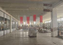 Usine for louer in Ain Sebaa - Casablanca