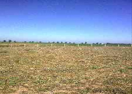 Terrain for vendre in Bouznika - Bouznika