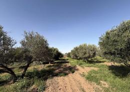 Terrain for vendre in Route d'Ourika - Marrakech