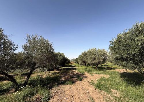 Terrain for vendre in Route d'Ourika - Marrakech