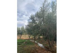 مزرعة for vendre in طريق الدار البيضاء - مراكش