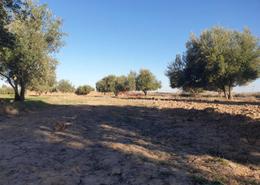 Terrain for vendre in Sidi Abdellah Ghiat - Marrakech