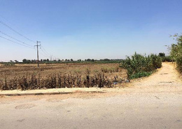 Terrain de 48000 m²
