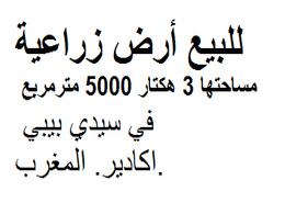 للبيع أرض زراعية مساحتها 3 هكتار 5000 مترمربع في سيدي بيبي.