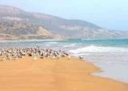 Appartement a louer vu mer a imi ouadar