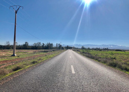 Terrain for vendre in Mhamid - Marrakech