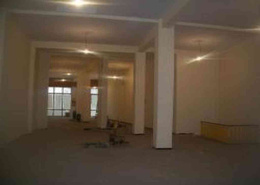 local commercial 2 facade en plein bd
