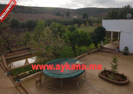 Vente Ferme Tiflet