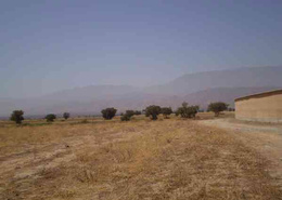 Terrain for vendre in Taroudant - Taroudant
