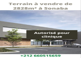 أرض for vendre in سونابا - اغادير