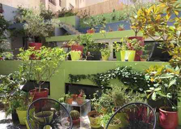 Appartement - 3 pièces - 2 bathrooms for vendre in Maarif Extension - Casablanca