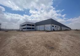 Hangars bien situés en location