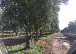 Ferme 11h ÉquipÉe chemmaiya