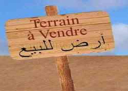 بقعة فيلا في تجزئة كولف