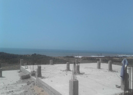 Terrain de 1 hectare vue sur mer