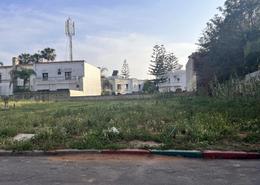 Terrain for vendre in Sidi Maarouf - Casablanca