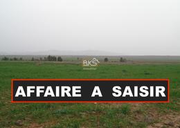 Affaire à saisir, Vente terrain route de ourika