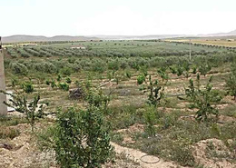 Terrain for vendre in Route Jerada - Oujda