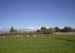 2Terrains en campagne à taroudant