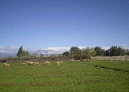 Terrain for vendre in Taroudant - Taroudant