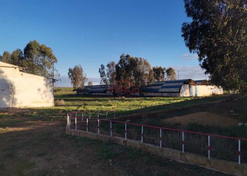 Vente Ferme de 34500 m2 à Tit Mellil