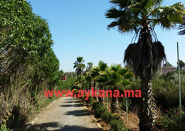 Ferme for vendre in Benslimane - Benslimane