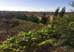 Terrain for vendre in Indéfini - El Jadida