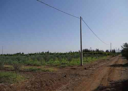 ferme de 4 hectares a bengrir