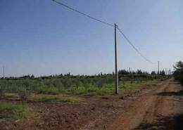Terrain for vendre in Sidi Boutmane - Ben Guerir