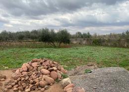 Terrain for vendre in Route d'Ourika - Marrakech