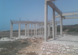 Terrain de 1 hectare, 1ere ligne sur plage