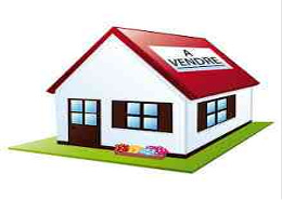 magasin pour commerce a louer
