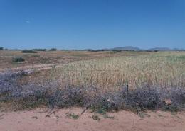 Terrain for vendre in Route de Casablanca - Marrakech