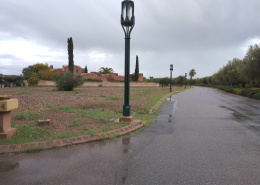 Terrain for vendre in Palmeraie - Marrakech