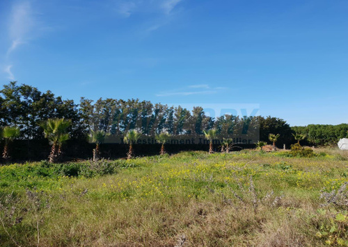 Terrain for vendre in Bouskoura - Casablanca