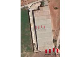 مصنع - 1 حمام for louer in بوسكورة - الدار البيضاء